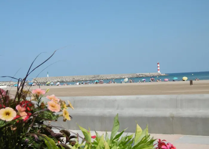 Apartamento : Front De Mer, 4 Pers, Parking Inclus - Fr-1-797-32